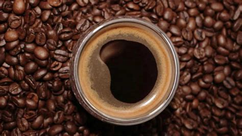 Beyond Arabica: The search for climate-resilient coffee