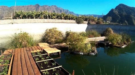 APARTAMENTOS CARMEN EN LA BOMBILLA (La Palma/Los Llanos de Aridane ...