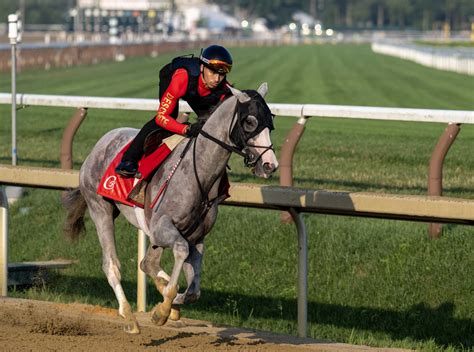 Sandman takes on Sovereignty, others in Jim Dandy at Saratoga