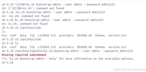 Keycloak 26.x 的新安全提示“You are logged in as a temporary admin user. To ...