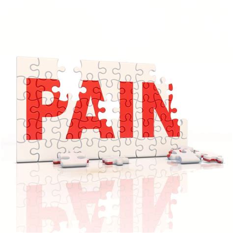 Pain Modulation 的图像结果