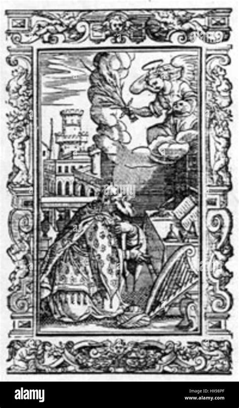 Fungi in natural habitat Black and White Stock Photos & Images - Alamy