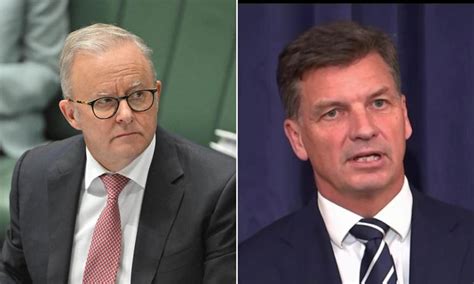 Inside Labor's $600million push for even MORE politicians in Australia ...