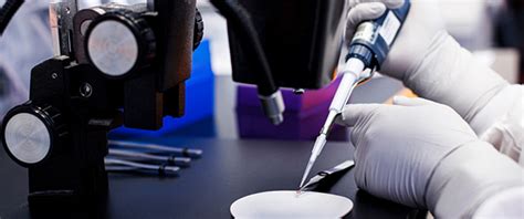 Specialized procedures - Electron Microscopy Core - Mayo Clinic ...