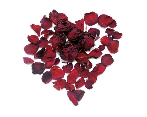 THE MAGIC IN OUR EYES. A spontaneous poem | by Anaelle 🥀 🌹 ...