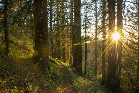 Hiking Southern Oregon: 10 Best Day Hikes from Green Springs Inn