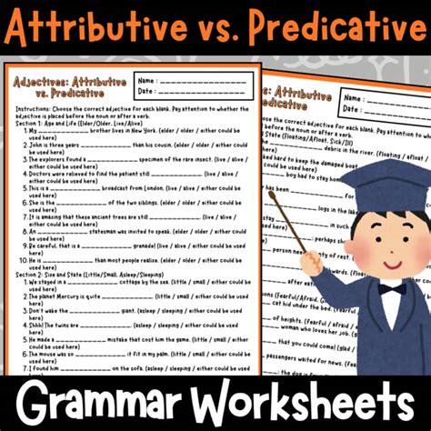 Attributive vs. Predicative Adjectives Worksheets | Adjective Placement ...