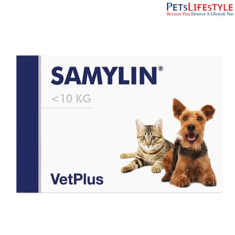 Buy Vetplus Samylin Liver Support Supplement for Dogs & Cats at Best ...