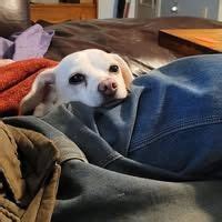 Car Shows In Hotton 2026 | Auto Shows In Hotton 2026 | AllEvents