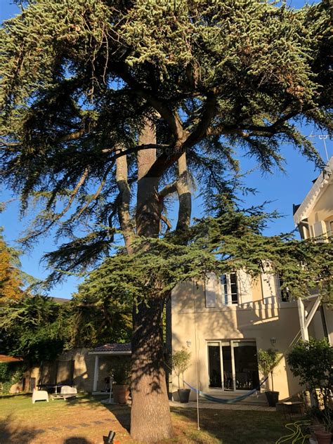 Country-style house in the heart of Cognac - Houses for Rent in Cognac ...