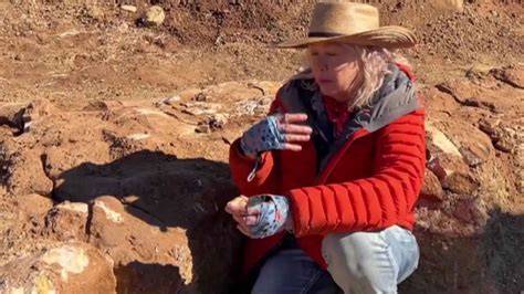 Near-complete ichthyosaur fossil given to Australian Age of Dinosaurs museum