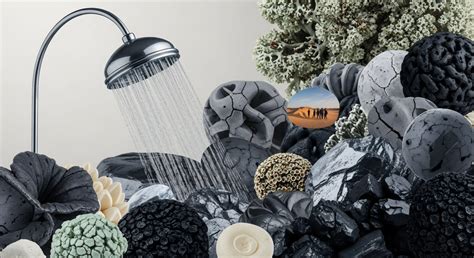 Non-Binary Individuals → Area → Sustainability