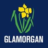 Hampshire vs Glamorgan, Match Graphs Stats– Wickets, Runs, Score ...