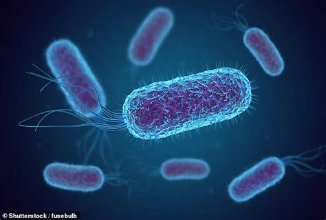 Disturbing link between popular McDonald's order and colon cancer ...