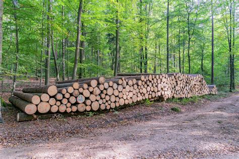 Millions left without power after major blackout hits Cuba's western region