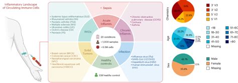 Revolutionizing Malaria Diagnosis: From Microscopy to AI‑Driven Rapid ...