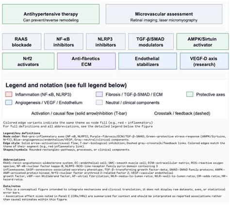 Inflammaging and Senescence-Driven Extracellular Matrix Remodeling in ...