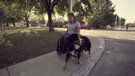 Les diplômés Mira - Sezon 2 Episod 4 - Mari sportivi în streaming ...