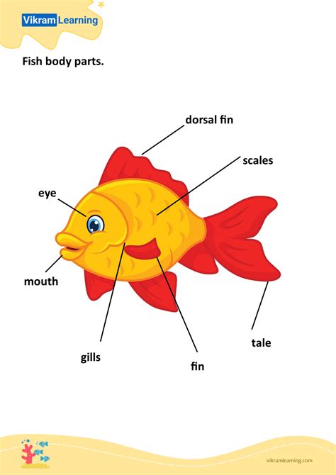 Fish Body Parts Vectors & Illustrations for Free Download - Worksheets ...
