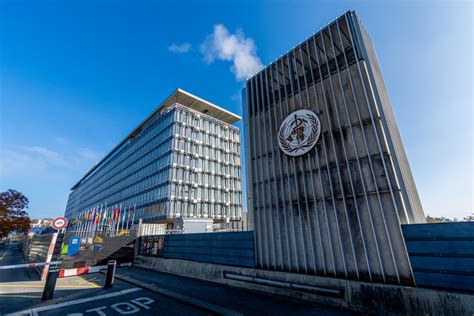 What the U.S.’ Withdrawal from the WHO Means for Public Health | TIME