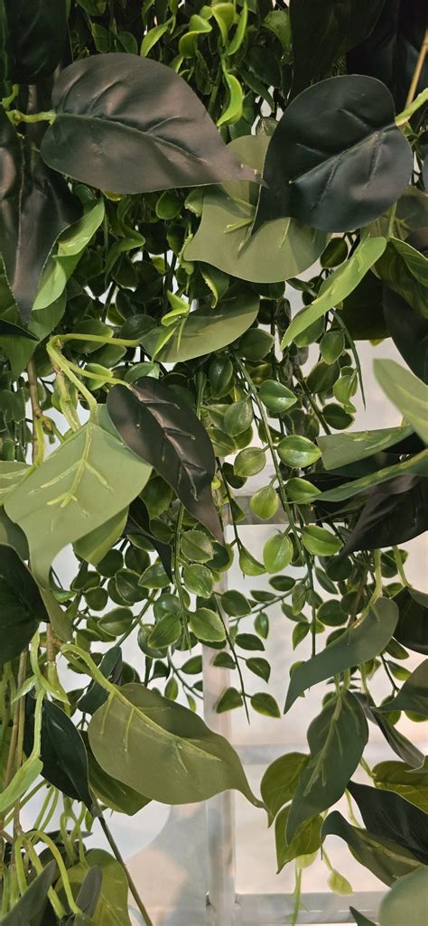 The Benefits of Using UV-Resistant Artificial Philodendron Garlands ...