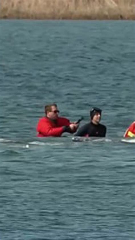 Rescue workers guide a humpback whale out of shallow waters in Germany | wfaa.com