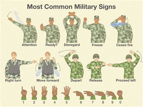 Army Hand Signals & Gestures: Military Communication 101