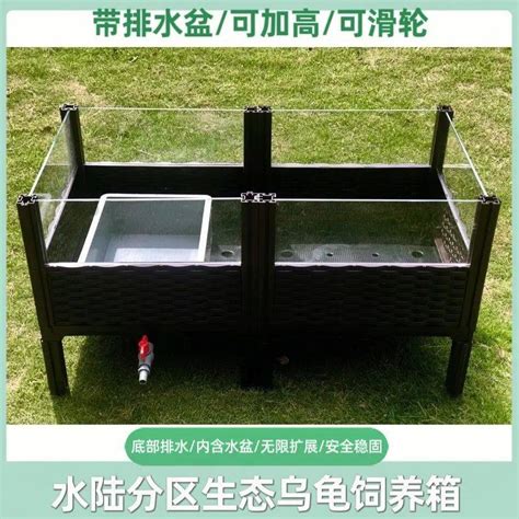 🔥 The special breeding box for yellow-edged turtles opens up a new ...