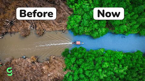 Your monthly dose of good news | April