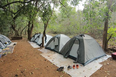 LetsGoa - Goa Adventure Camping | Night Trek with Campfire & BBQ