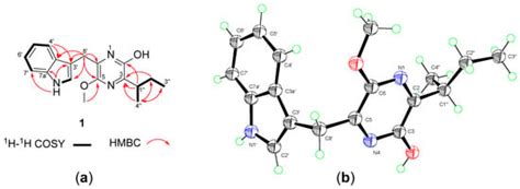 Broad-Spectrum Antiviral Natural Products from the Marine-Derived ...