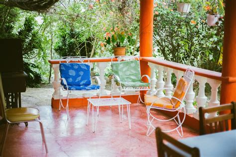 ant in Spanish: Meaning, Usage and Examples | SpanishStep