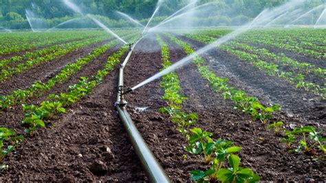 WVSU Extension Service and USDA NRCS to hold sessions for local growers in southern West Virginia