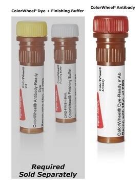 Rat IgG2b Isotype Control (LTF-2) ColorWheel® Dye-Ready mAb for use ...