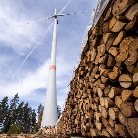 Bokepnos her character made me comfortable since we met and