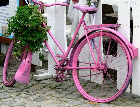 Flower Part Crossword