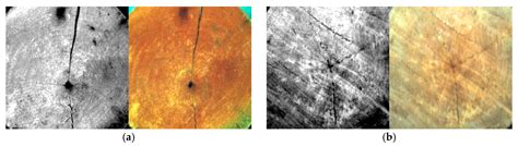 Research on Intelligent Wood Species Identification Method Based on ...