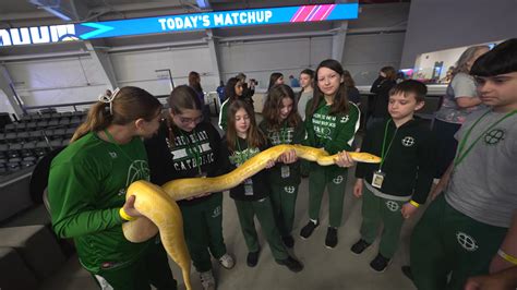 They thought this snake was harmless - so they held it