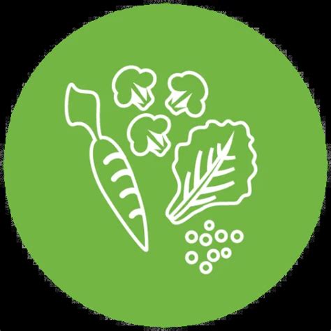 Beans Price Today in Raigarh District | All Mandis