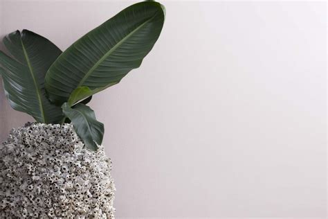 New Age 1444 Paint Color by Benjamin Moore - DecorCreek