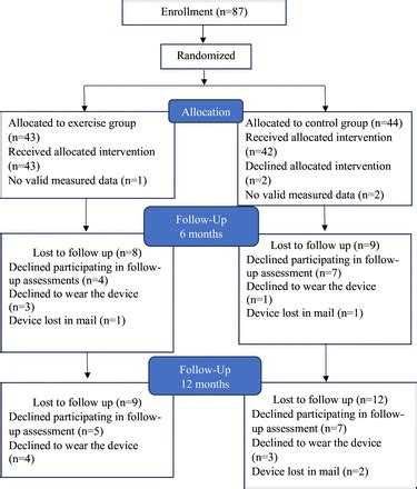 High-intensity exercise for maintained health-enhancing physical ...