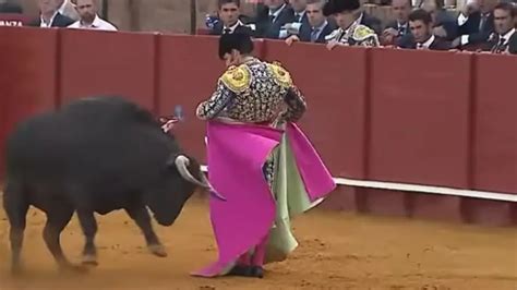 Bullfighting deaths in Spain as iconic matador can't eat or sleep after ...