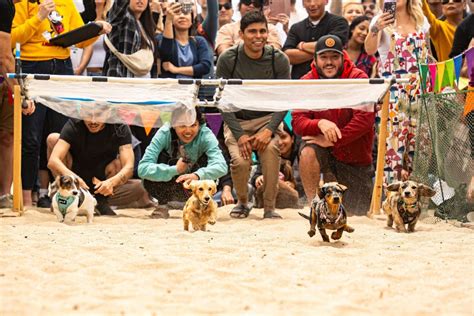 SoCal WienerFest, 21080 Pacific Coast Hwy, Huntington Beach, CA, United ...