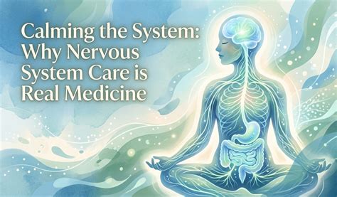 The Parasympathetic Nervous System: Why Calming the Body is Real Medicine - ESSI