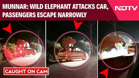 On cam: Wild elephant attacks car in Munnar, passengers escape narrowly
