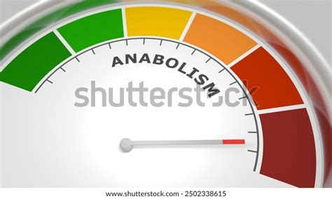 26 Рейтинг Atp Royalty-Free Images, Stock Photos & Pictures | Shutterstock