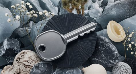 Inclusive Brand Identity → Area → Sustainability