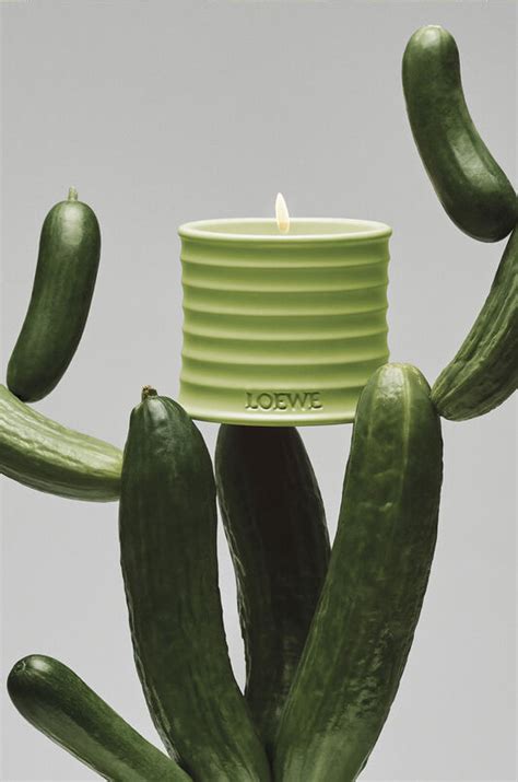 Cucumber Home & Room Fragrances | LOEWE Perfumes