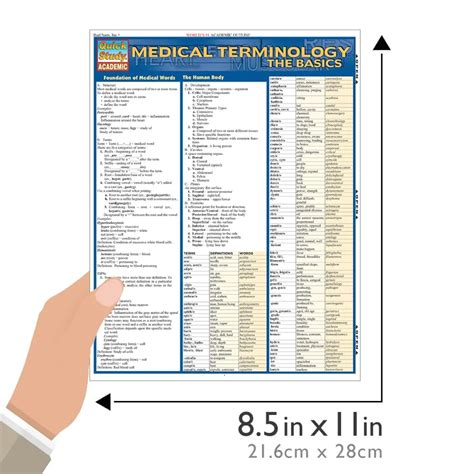 T.i.d. In Medical Terms