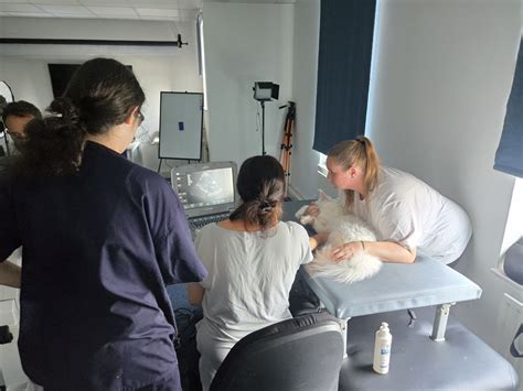 Echocardiography Day Course – Animal Ultrasound Association